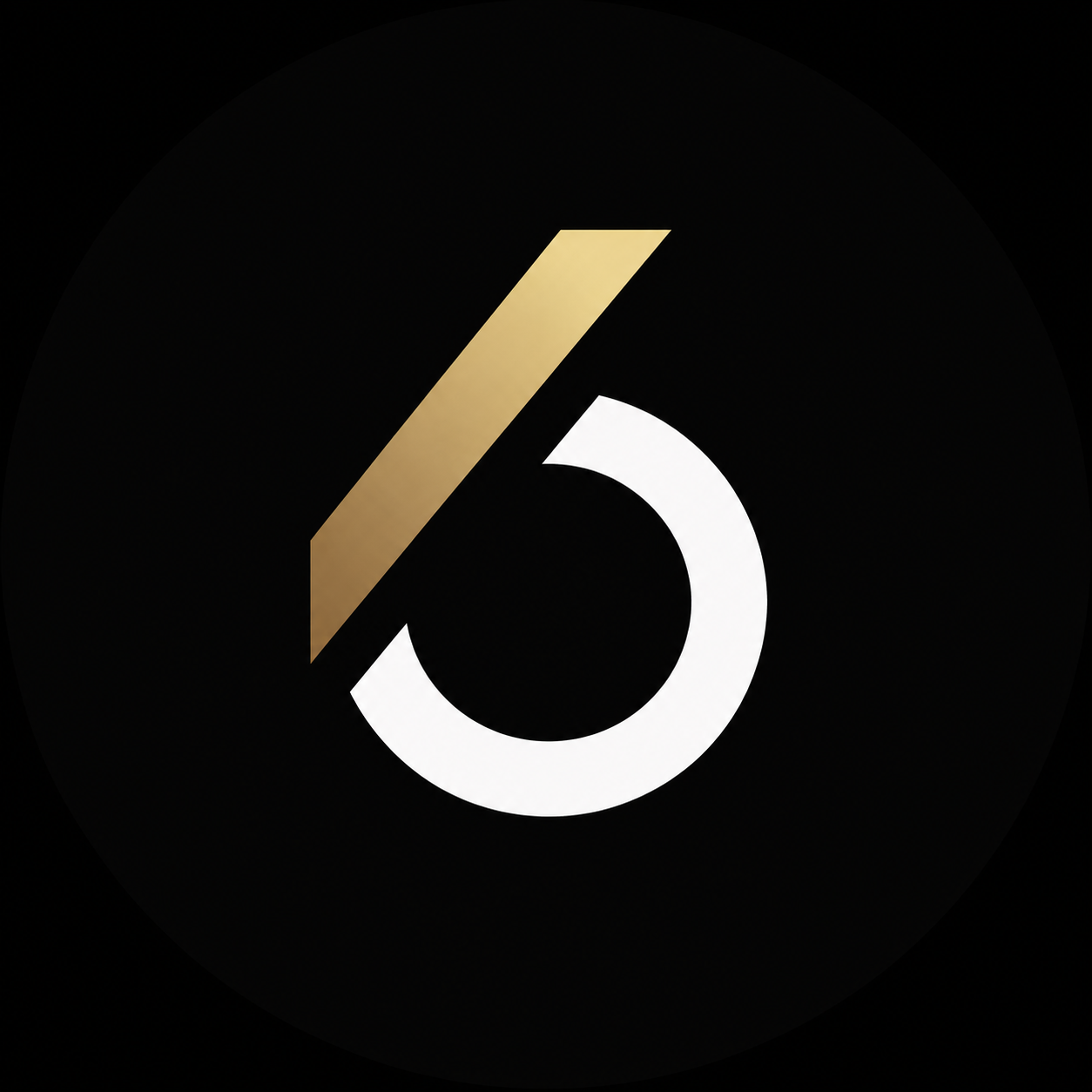 The Sixth Agency